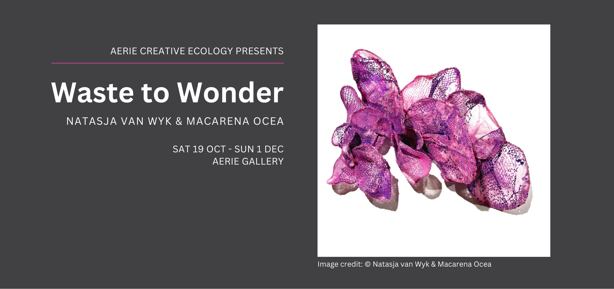 Waste to Wonder exhibition by Natasja van Wyk & Macarena Ocea, Saturday 19 Oct to Sunday 1 Dec | aerie gallery